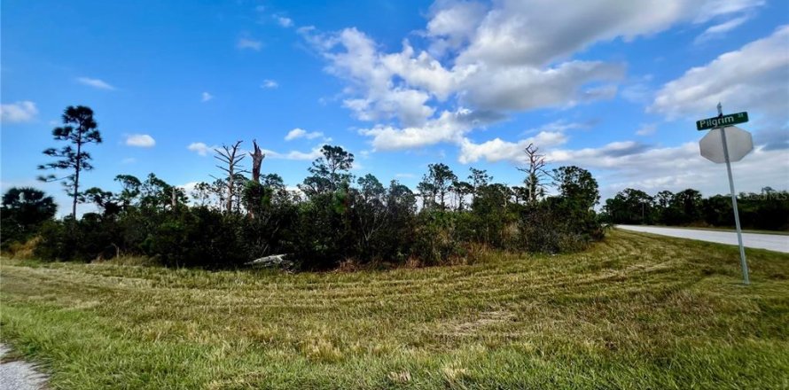 Land in Port Charlotte, Florida № 2160115
