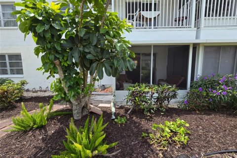 Condominio en alquiler en Bradenton, Florida, 1 dormitorio, 53.51 m2 № 1915030 - foto 1