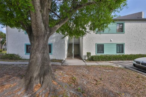 Condo in Saint Petersburg, Florida, 2 bedrooms  № 2148469