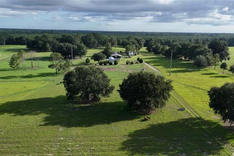 Terrain à vendre à Fort White, Floride № 1904189 - photo 14