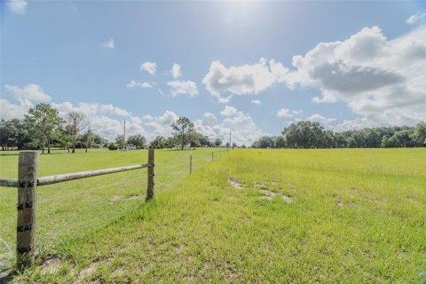 Terrain à vendre à Fort White, Floride № 1904189 - photo 5
