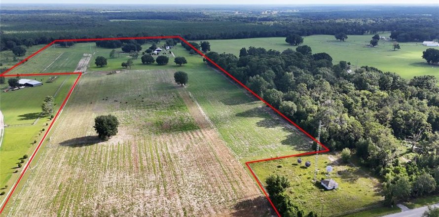 Terreno en Fort White, Florida № 1904189