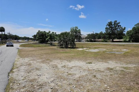 Terrain à vendre à Belleview, Floride № 1674022 - photo 4