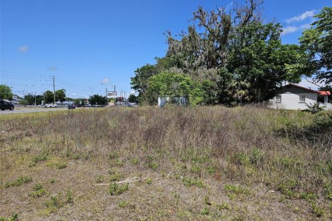 Terrain à vendre à Belleview, Floride № 1674022 - photo 6
