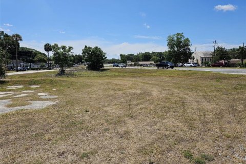 Terrain à vendre à Belleview, Floride № 1674022 - photo 5