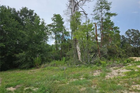 Land in Ocala, Florida № 1869273 - photo 4