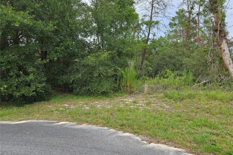 Land in Ocala, Florida № 1869273 - photo 5