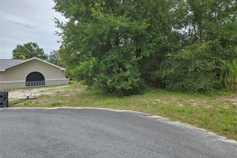 Land in Ocala, Florida № 1869273 - photo 2