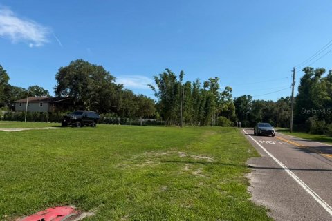 Land in Tampa, Florida № 2209957 - photo 4
