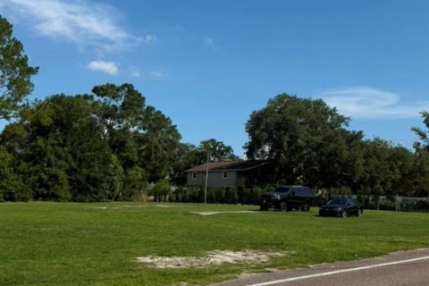 Land in Tampa, Florida № 2209957 - photo 2
