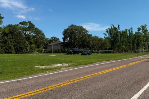 Land in Tampa, Florida № 2209957 - photo 5