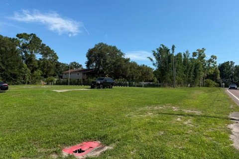 Land in Tampa, Florida № 2209957 - photo 7