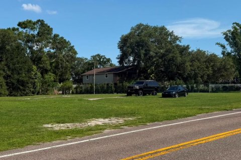 Land in Tampa, Florida № 2209957 - photo 3