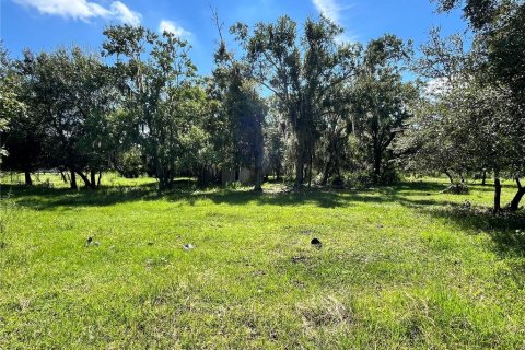 Land in Seffner, Florida № 1884904 - photo 1
