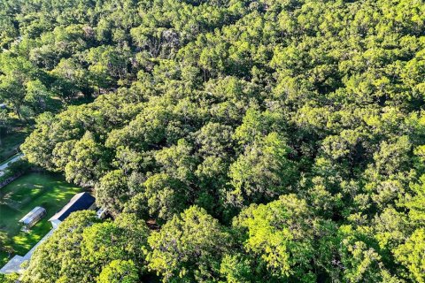 Terrain à vendre à Hastings, Floride № 1847554 - photo 3