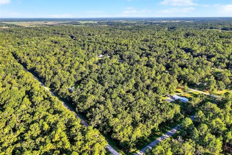 Terrain à vendre à Hastings, Floride № 1847554 - photo 11