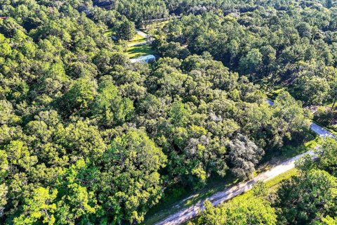 Terrain à vendre à Hastings, Floride № 1847554 - photo 4