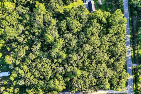 Terrain à vendre à Hastings, Floride № 1847554 - photo 7