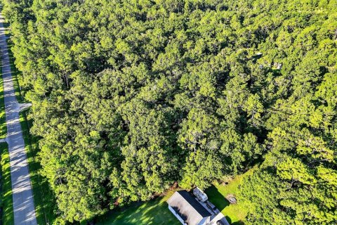 Terrain à vendre à Hastings, Floride № 1847554 - photo 2