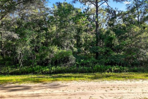 Terrain à vendre à Hastings, Floride № 1847554 - photo 13
