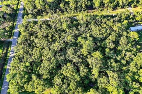 Terrain à vendre à Hastings, Floride № 1847554 - photo 9