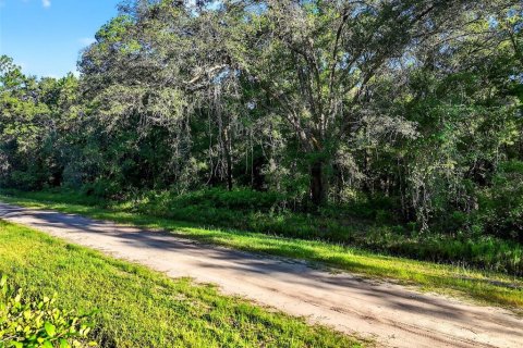 Terrain à vendre à Hastings, Floride № 1847554 - photo 14
