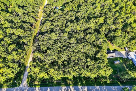 Terrain à vendre à Hastings, Floride № 1847554 - photo 10