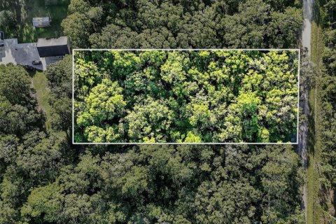 Terrain à vendre à Hastings, Floride № 1847554 - photo 5