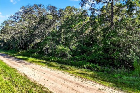Terrain à vendre à Hastings, Floride № 1847554 - photo 12