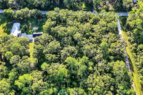 Terrain à vendre à Hastings, Floride № 1847554 - photo 8