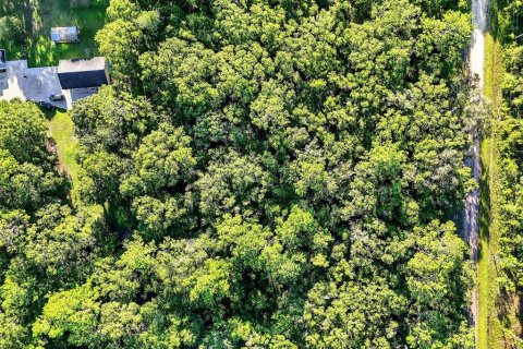 Terrain à vendre à Hastings, Floride № 1847554 - photo 6