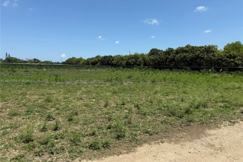 Commercial property in Miami, Florida № 1861947 - photo 1