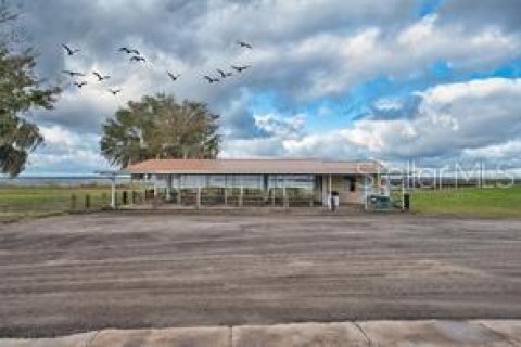 Land in Indian lake estates, Florida № 1061755 - photo 23