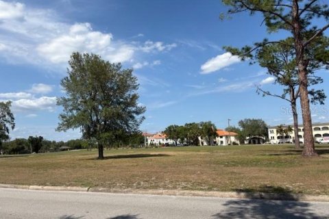 Land in Temple Terrace, Florida № 2166182 - photo 3