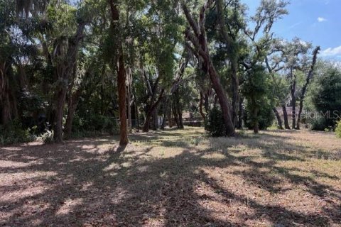 Land in Temple Terrace, Florida № 2166182