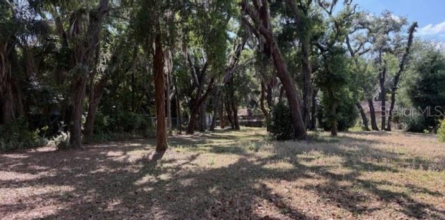 Land in Temple Terrace, Florida № 2166182