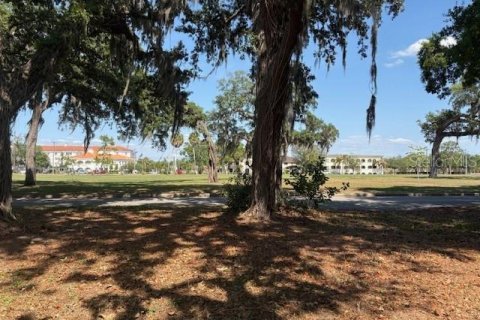 Land in Temple Terrace, Florida № 2166182 - photo 2