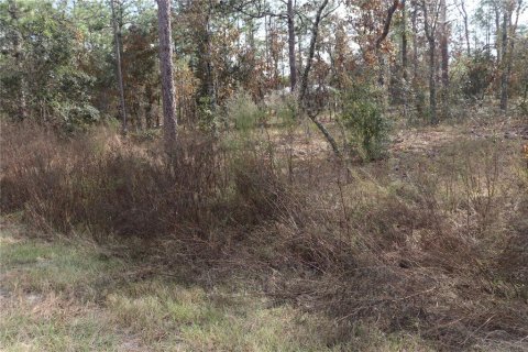 Land in Dunnellon, Florida № 2164972 - photo 3