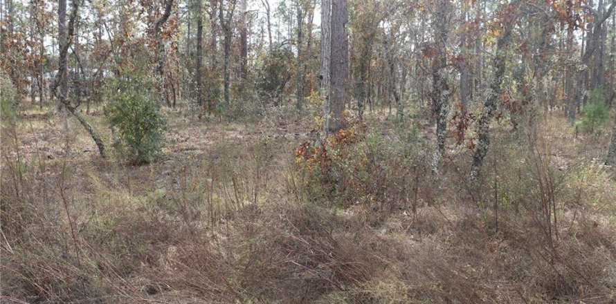 Land in Dunnellon, Florida № 2164972