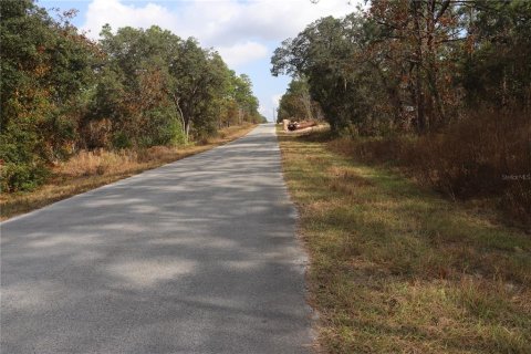 Land in Dunnellon, Florida № 2164972 - photo 4