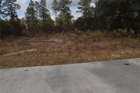 Land in Dunnellon, Florida № 2164972 - photo 5