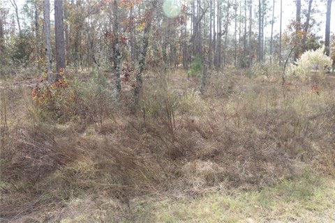 Land in Dunnellon, Florida № 2164972 - photo 2