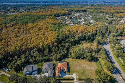 Terrain à Palm Harbor, Floride № 2298608