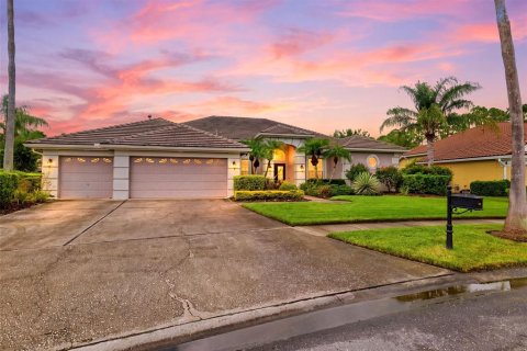 House in Tampa, Florida 5 bedrooms, 304.72 sq.m. № 2358959