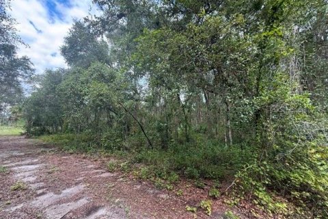 Land in Inverness, Florida № 2342004