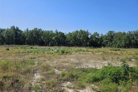 Terrain à vendre à Lake City, Floride № 2206262 - photo 28