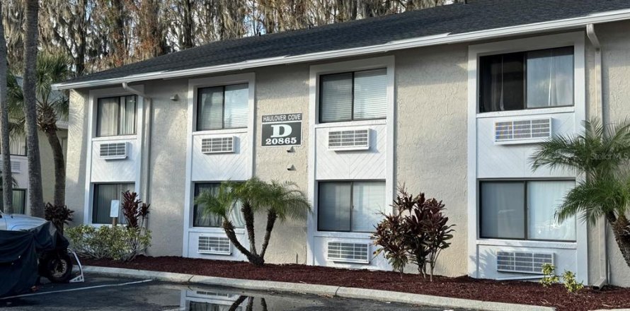Condo à Lutz, Floride, 1 chambre № 1744238