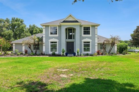 House in Mount Dora, Florida 4 bedrooms, 265.98 sq.m. № 2208366 - photo 8