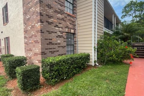 Condominio en alquiler en Land O' Lakes, Florida, 2 dormitorios, 74.32 m2 № 1915329 - foto 1