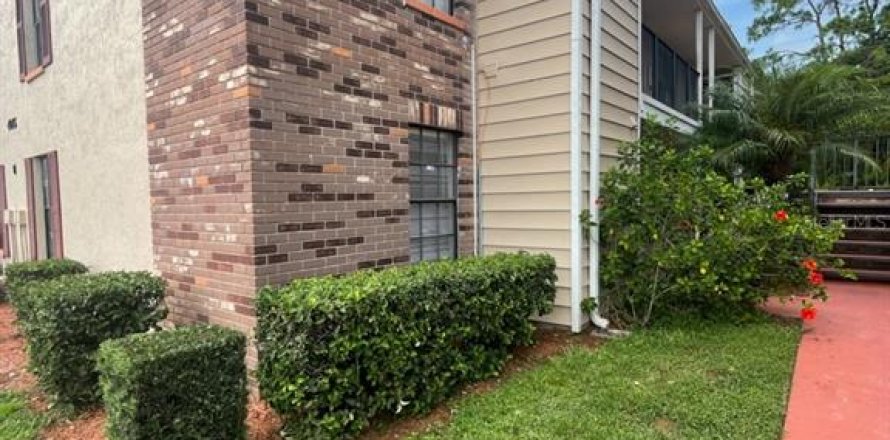 Condominio en Land O' Lakes, Florida, 2 dormitorios № 1915329